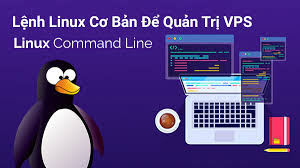 Lệnh kiểm tra các thông số VPS/Server